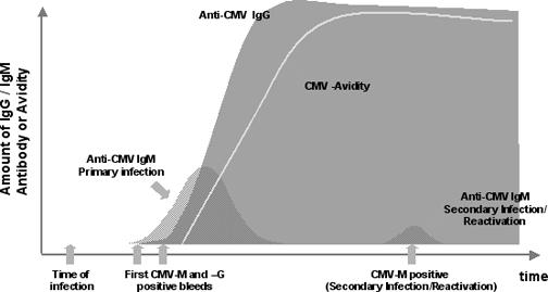 >0.8 Η PCRCMVDNA στο αίμα μπορεί να μείνει θετική από 3 μήνες - >1 χρόνο N Engl J Med 2005;353:1350-62.