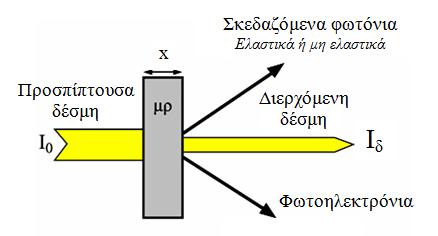 Εικόνα 4: Πιθανότητες αλληλεπίδρασης ακτίνων Χ με την ύλη Κατά την διαδρομή την οποία πρέπει να διανύσουν οι ακτίνες Χ ώστε να φτάσουν στον ανιχνευτή, ένα μέρος τους απορροφάται σύμφωνα με την σχέση: