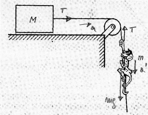 Rešenja 3. Prema referentnom smeru ubrzanja tega mase M (naniže na slici uz rešenje) sledi T am (1) mg T ma gde je a apsolutno ubrzanje naniže mase m a a ubrzanje mase M odnosno užeta.