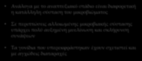 προμετωπιαίου φλοιού Ακεραιότητα αιματοεγκεφαλικού φραγμού Μιτοχονδριακές