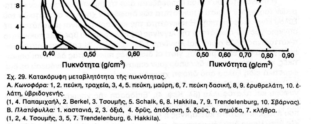 Κατακόρυφη μεταβλητότητα της πυκνότητας