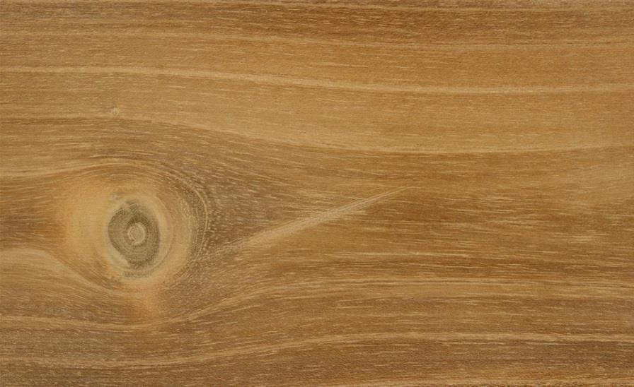 Εικόνα2.5.4 Δείγμα ξυλείας Μουριάς (Morus Alba).