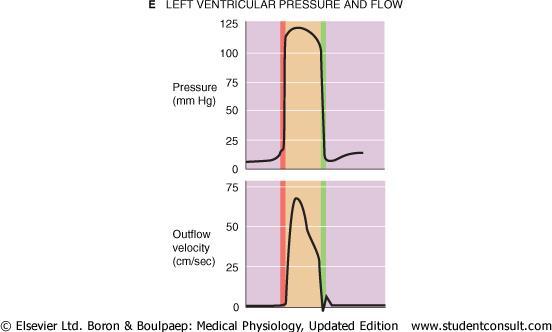 Presiunea sistolica max: 30 mm Hg RIGHT VENTRICULAR