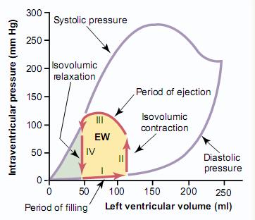 Curbe Volum - Presiune Sunt reprezentari grafice ale ciclului cardiac in functie de interrelatia dintre volumul si presiunea ventriculara, care exclud parametrul timp Permit evaluarea conditiilor