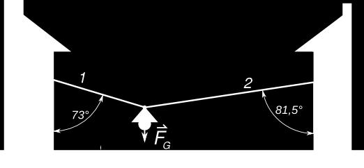 m = 9,5kg F G = m g = 93 N La direkto de la fortoj F 1 kaj F estas sama kiel tiu