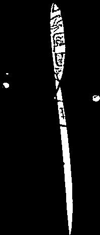 3316/2005, we; E~f)c;: ria rnv Kanwopia µemrric; 8, TOUA<lXIOTOV tvac; (1) µeaetlltric; i5wi5ekaetouc; EµTTElpiac;.