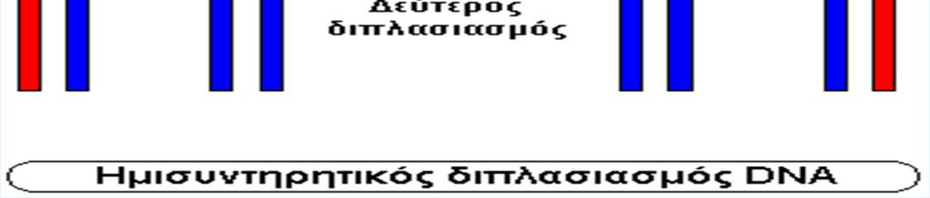 Αντιγραφή