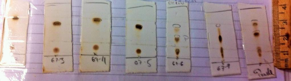 MSH addition product Figure S1.