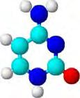 Analizele HPLC ale componentelor acizilor nucleici pot fi împărţite în mai multe secţiuni în funcţie de natura chimică a acestor componente.
