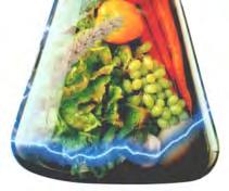 Deşi denumirea s-a păstrat, în grupul vitaminelor intră şi substanţe care nu sunt amine.