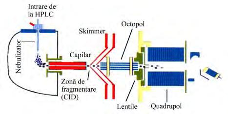 ... V ASILE O STAFE..... Fig. 31.