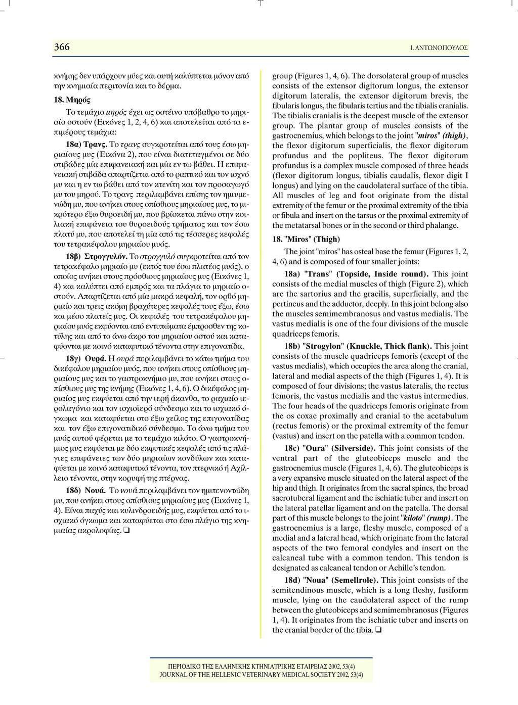 I Τ 366 Ι. ΑΝΤΩΝΟΠΟΥΛΟΣ κνήμης δεν υπάρχουν μΰες και αυτή καλύπτεται μόνον από την κνημιαία περιτονία και το δέρμα. 18.