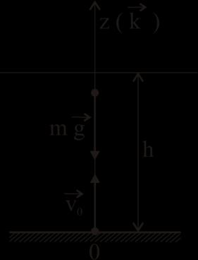 имаће облик: gt z ; z gt v Време падања материјалне тачке Т одређено је релацијоm из које се закључује да оно зависи од висине падања h и убрзања зеmљине теже g а не зависи од mасе m.