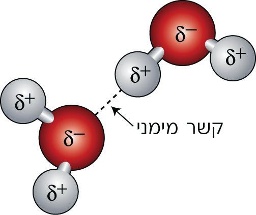 כלומר, לקשרים שבין שני אטומים כלשהם נמדדו באופן אמפירי ערכים של אנרגיית קשר ואורך קשר שהם ספציפיים לזוג האטומים הנמדד; את כל הקשרים ניתן להסביר כנקודת האיזון בין כוחות המשיכה לבין כוחות הדחייה