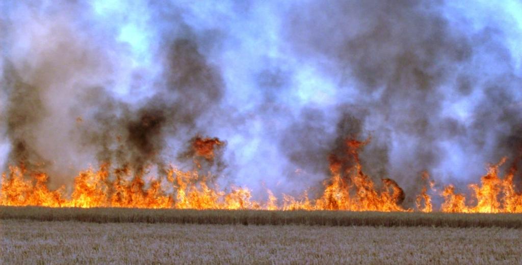 9. ТЕРМИЧКЕ КАРАКТЕРИСТИКЕ ОТПАДА http://tvbecej.rs/index.php?c=vest&lg=sr&vestid=1978&slider=off У овом поглављу обрађени су основни појмови везани за термичке карактеристике отпада.