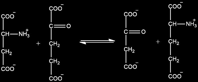 NADH + H + NAD + LDH пируват L-лактат Реагенси: Схема 4.9. Реакција настајања лактата из пирувата катализована лактат дехидрогеназом (LDH) 1. Реагенс R1 састоји се од TRIS пуфера (ph 7.