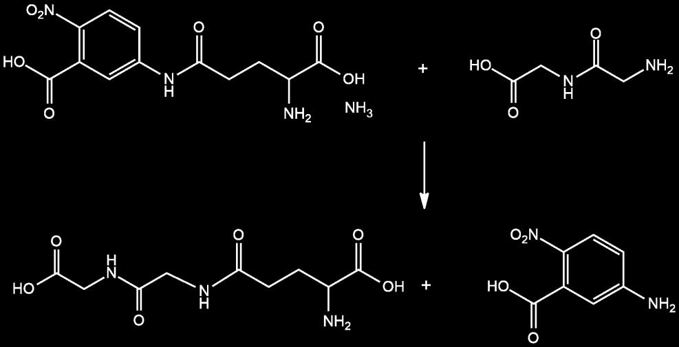 апсорбанце на 405 nm услед формирања 5-амино-2-нитробензоеве киселине је пропорционалан активности γ-gt.