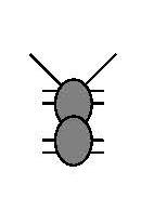 Primjer: Mrav u labirintu SENZORI: antene L i R, svaka 1 ako su u