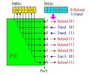 : port): PORTA, PORTB in PORTC, preko katerih so dostopni vhodno/izhodni signali vsebovanih vmesnikov. Vrednosti na priključkih lahko zajemamo oz.