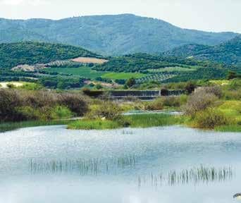 4 ημέρες 6 ΕΩΣ 9/4/18 ΠΑΣΧΑ ΣΤΗΝ Κοιλάδα του Στρυμόνα ΣΕΡΡΕΣ - ΣΑΝΤΑΝΣΚΙ - ΛΙΜΝΗ ΚΕΡΚΙΝΗΣ - ΙΕΡΑ ΜΟΝΗ ΤΙΜΙΟΥ ΠΡΟΔΡΟΜΟΥ ΜΕΓ. ΠΑΡΑΣΚΕΥΗ: Αναχώρηση 08:00 π.μ. από ΑΘΗ- ΝΑ, ημίωρη στάση στην περιοχή της