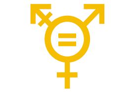 1983: Νόμος περί ισότητας στην Ελλάδα Διακρίσεις και ανισότητες με βάση το φύλο υφίστανται στην εκπαίδευση, στην πολιτική ζωή, στον εργασιακό χώρο, στην