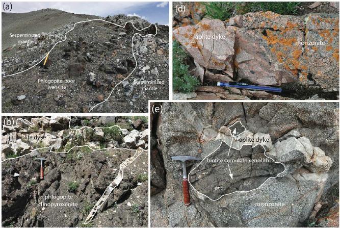 a) Мантийн гаралтай серпентинжсэн флогопит-агуулсан верлит (геологийн алхаар хэмжихэд ойролцоогоор 0.9 м урт). b) флогопиттай кумулат чулуулгийг хөндлөн огтолсон хожуу үеийн аплитын дайк.
