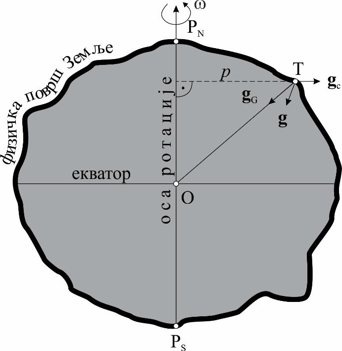 Слика 1.5. Сила земљине теже Највећу вредност на физичкој површи Земље центрифугална сила g C има на пресечној линији еваторијалне равни и физичке површи Земље односно земљином екватору.