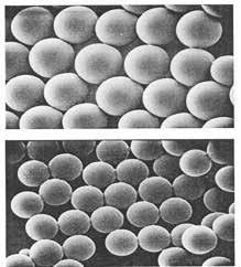 مقدمه تا سالهای 1975 پلیمرشدن پراکنشی توسط Barrett به طور کامل بررسی و توسط Almog Reich و دیگران تا تهیه ذراتی به ابعاد 1 تا 6 µm گسترش یافت.