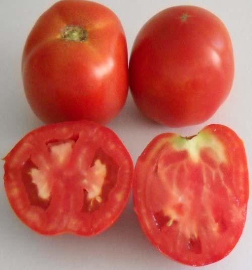 270 g), plate, de culoare roşie (44 A), cu puţine seminţe, pulpa fermă, rezistente la păstrare; gust plăcut (aciditate medie de 3,5% g/l acid malic şi 4,1% substanţă uscată solubilă), fermitate mare;