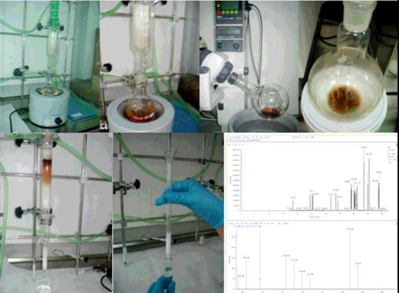 Fig. 72. Etape din procesarea unei probe de carne de porc pentru determinarea dioxinelor şi furanilor şi cromatograma obţinută.