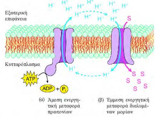 Η ενεργητική μεταφορά λειτουργεί ενάντια στην "ηλεκτροχημική διαφορά συγκέντρωσης" (gradient) και η κίνηση μορίων επιτυγχάνεται με κατανάλωση ενέργειας, που προέρχεται από την υδρόλυση ATP ή με τη