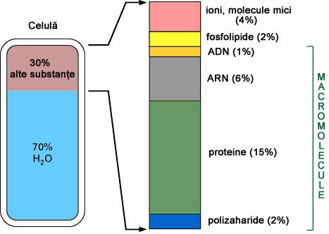 generaţie nouă 13 14 ORGANISM VIU CELULA Sistem deschis cu schimb permanent cu mediul de: substanţe; energie; informaţie.