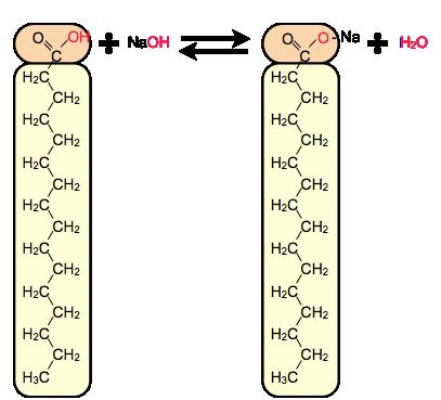 Saponificación dos ácidos graxos Tema 3 Os lípidos clasifícanse en función da súa resposta á reacción de saponificación. - Os lípidos saponificables, ou hidrolizables, conteñen ácidos graxos.
