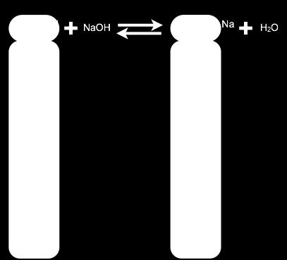 Saponificación biolóxica ÉSTER + AUGA ÁCIDO + ALCOHOL Esterificación Saponificación non biolóxica ÉSTER + BASE XABÓN + AUGA A saponificación biolóxica ( in vivo ) dun ácido graxo é unha hidrólise que