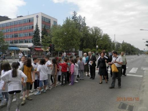 манифестацији на Тргу Крајине 10. маја 2013.