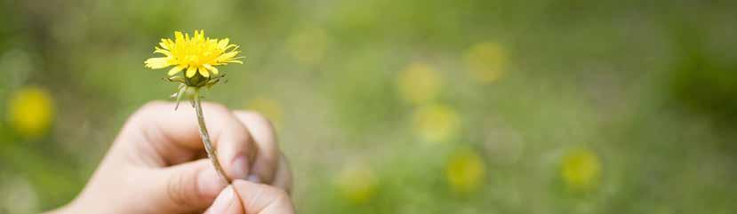..41 ISO 14001:2015 ΕΣΩΤΕΡΙΚΟΣ ΕΠΙΘΕΩΡΗΤΗΣ ΣΥΣΤΗΜΑΤΩΝ ΠΕΡΙΒΑΛΛΟΝΤΙΚΗΣ ΔΙΑΧΕΙΡΙΣΗΣ...42 ISO 14001:2015 ΕΠΙΘΕΩΡΗΤΗΣ / ΕΠΙΚΕΦΑΛΗΣ ΕΠΙΘΕΩΡΗΤΗΣ ΣΥΣΤΗΜΑΤΩΝ ΠΕΡΙΒΑΛΛΟΝΤΙΚΗΣ ΔΙΑΧΕΙΡΙΣΗΣ.