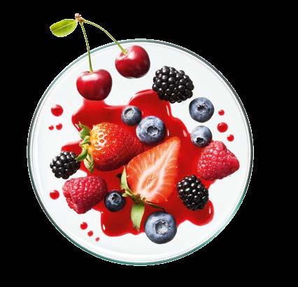 2 1 3 Individuals ΞΕΧΩΡΙΣΤΑ ΣΥΜΠΛΗΡΩΜΑΤΙΚΑ ΠΡΟΪΟΝΤΑ Η κατανάλωση πέντε μερίδων φρούτων και λαχανικών την ημέρα ωφελεί και εφοδιάζει τον οργανισμό με απαραίτητες βιταμίνες.