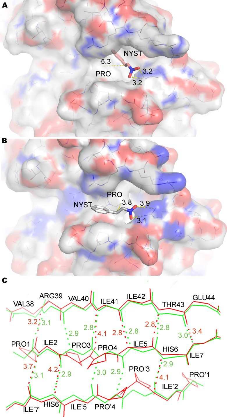 Slika 2.9 A) itrostiren u reaktivnom centru prirodne tautomeraze (4-T). B) itrostiren u reaktivnom centru 4-T_P mutanta. C) Uporedno predstavljanje 4-T (zeleno) i 4-T_2P (crveno) enzima.