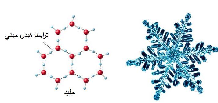 -3 السؤال الخامس:.1.2.3.5 سلوكات متعمدة من المستوطنات لتلويث مياه األودية فتغير من لون المياه وتزيد من نسبة األيونات والكائنات الحية الدقيقة الضارة في المياه عن الحد المسموح ضمن المواصفات والمقاييس