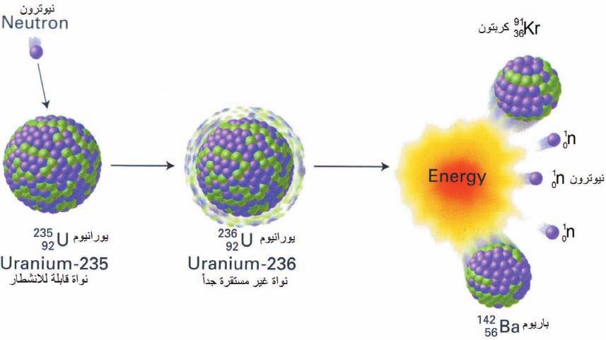 3-11-5 االنشطار النووي Nuclear fission لوتأملت الصورة اعاله هل فكرت بضخامة هذا االنفجار وكيف يحدث في عام 1934 اكتشف عالم الماني ان انشطار ذرة اليورانيوم يحدث بسرعة مولدا