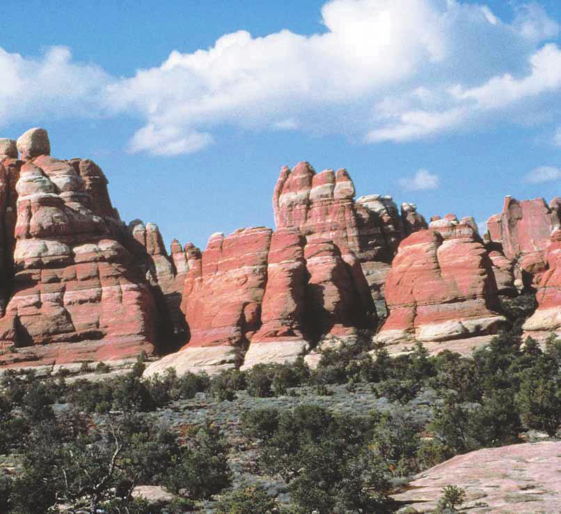 2-5-6 الصخور الرسوبية هي اكثر االنواع انتشارا فوق سطح الكرة االرضية وتكون عادة على شكل طبقات متوازية تكونت بسبب عوامل التجوية والتعرية مثل الرياح والمياه