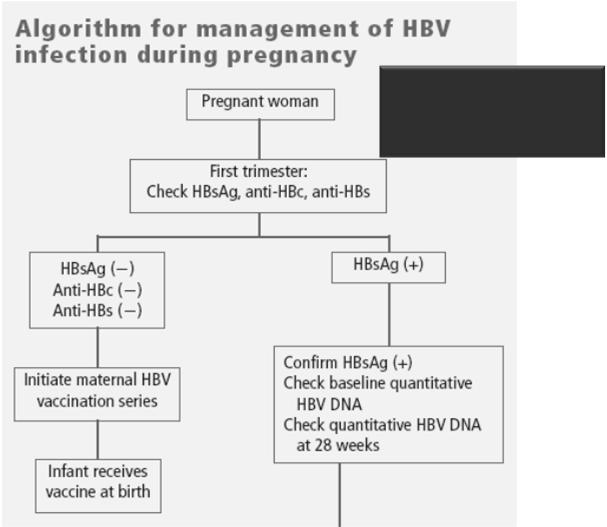 O κίνδυνος περιγεννητικής μετάδοσης είναι 10 40% και 40 70% των παιδιών που θα μολυνθούν θα αποκτήσουν χρόνια νόσο Αν το HBeAg (+) ή αν υπάρχουν ψηλοί τίτλοι HBVDNA η περιγεννητική μετάδοση αυξάνεται