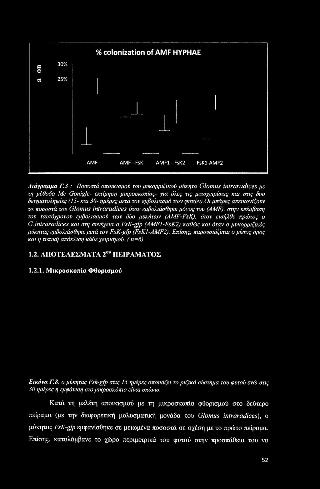 intraradices και στη συνέχεια ο FsK-gfp (AMFl-FsK2) καθώς και όταν ο μυκορριζικός μύκητας εμβολιάσθηκε μετά τον FsK-gfp (FsKl-AMF2).