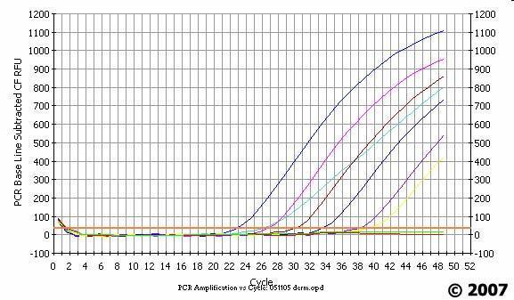 Η μέθοδος real-time PCR που έχει αναπτυχθεί από το Πανεπιστήμιο Αθηνών σε συνεργασία με το Πανεπιστήμιο του Leiden και το Ινστιτούτο CBS της Βασιλικής Ακαδημίας της Ολλανδίας με σκοπό