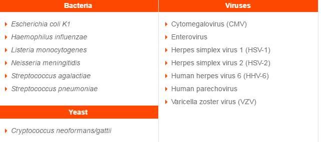 multiplex PCR Αποτέλεσμα σε
