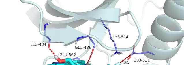 (D) The putative binding mode of 3m with FGFR1 protein Figure S3. The putative binding mode of 3m in FGFR1 protein.