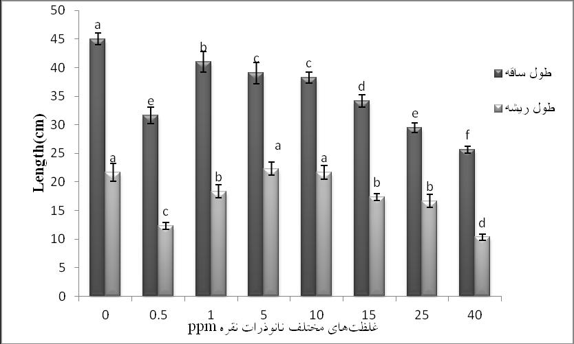 مجله فیزیولوژی و بیوشیمی گیاهی ایران جلد 1 شماره 2 )اسفند 1314( تر ریشه مربوط به تیمار 11 بود. نتایج تجزیه واریانس نشان داد که تأثیر نانوذرات نقره در سطح 1 درصد معنیدار بود.