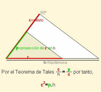karratua katetoak hipotenusan duen proiekzioaren emaitzaren berdina da.