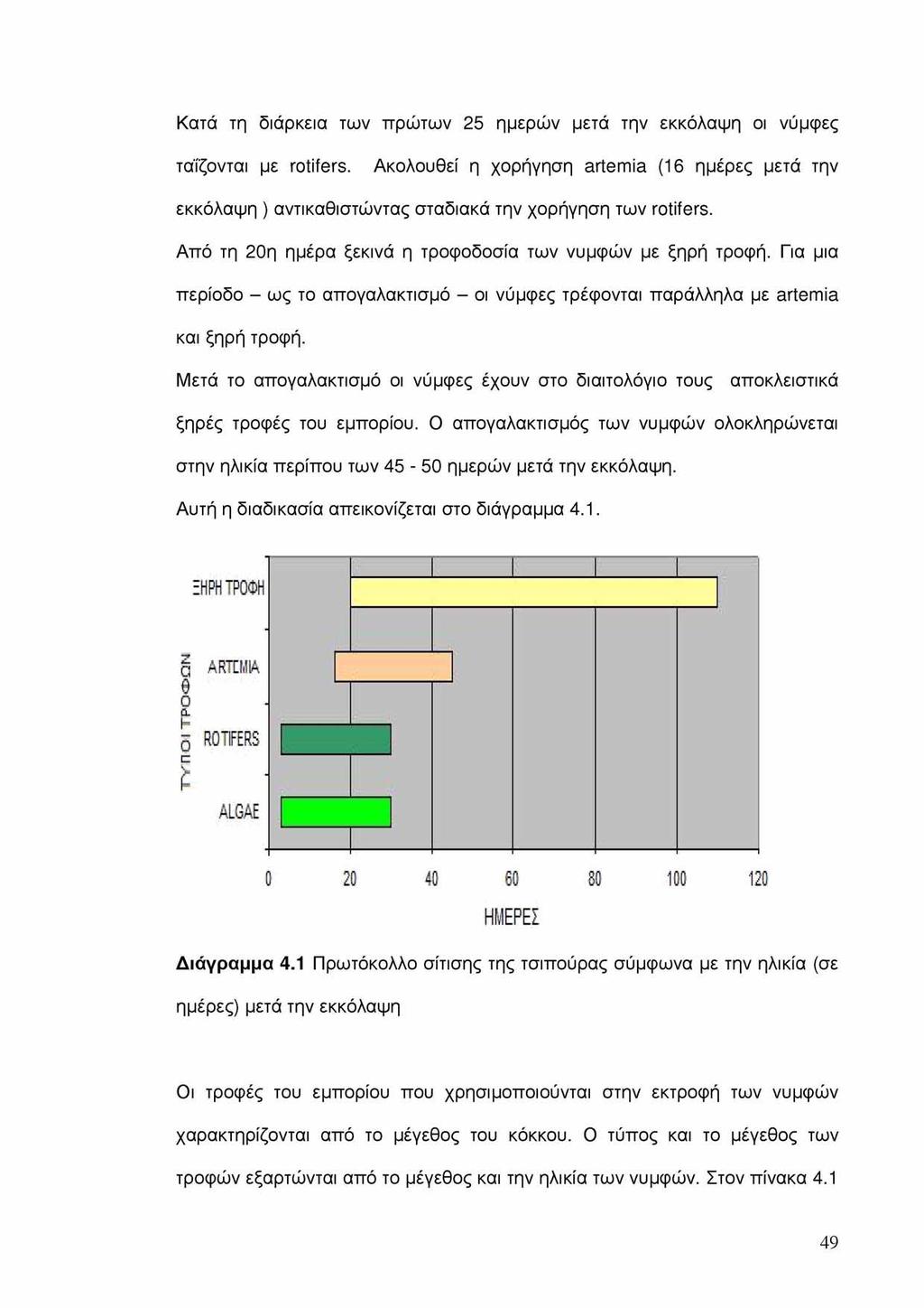 Κατά τη διάρκεια των πρώτων 25 ημερών μετά την εκκόλαψη οι νύμφες ταΐζονται με rotifers. Ακολουθεί η χορήγηση artemia (16 ημέρες μετά την εκκόλαψη ) αντικαθιστώντας σταδιακά την χορήγηση των rotifers.