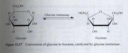 Izboljšana proizvodnja fruktoze Glukoza izomeraza je pravzaprav ksiloza/glukoza izomeraza. Ob pretvorbi (5C) ksiloze v ksilulozo v stranski reakciji pretvarja (6C) glukozo v fruktozo.